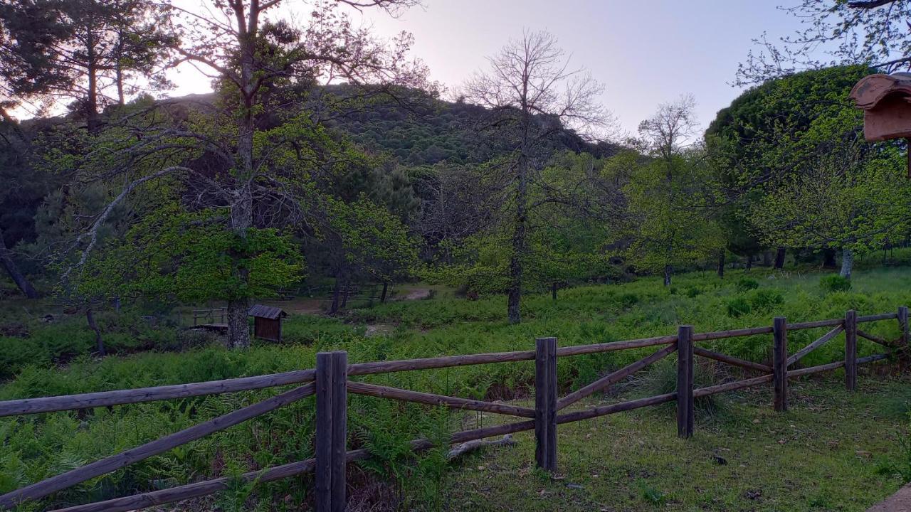 Casa Relojero Villa Zarza-Capilla Dış mekan fotoğraf