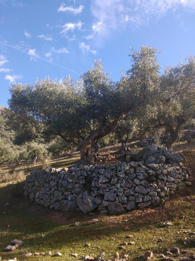 Casa Relojero Villa Zarza-Capilla Dış mekan fotoğraf