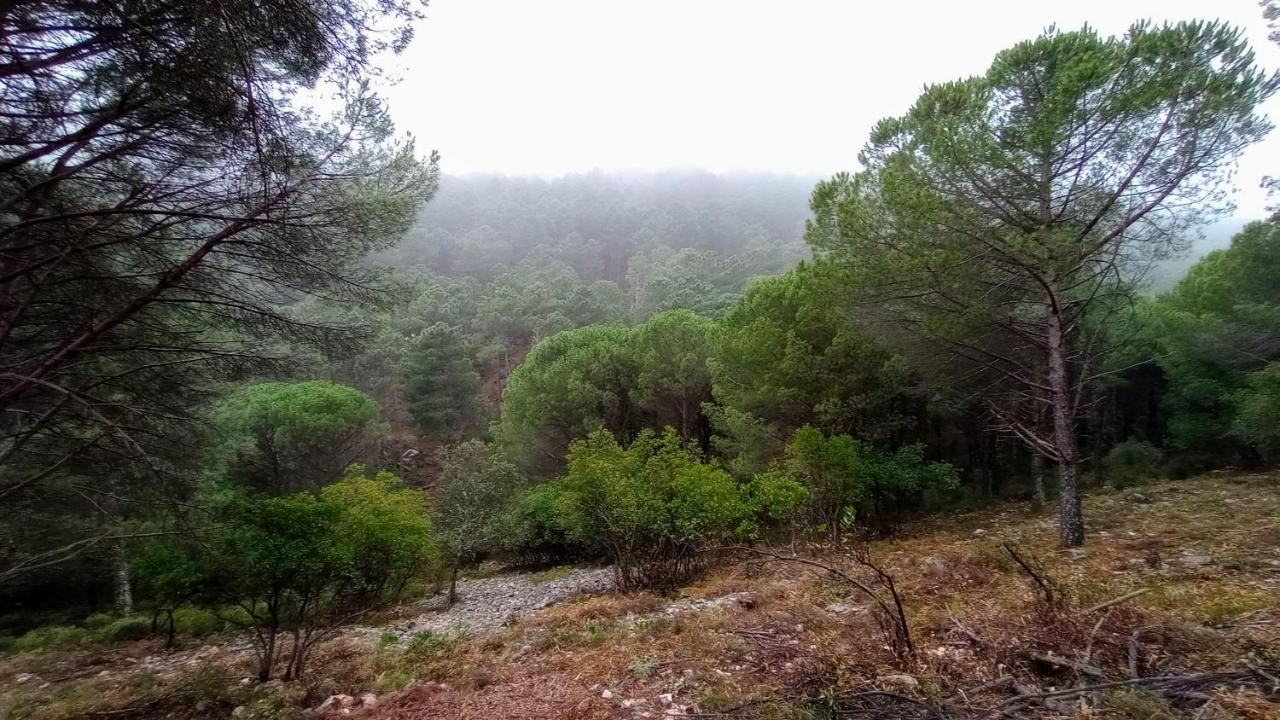 Casa Relojero Villa Zarza-Capilla Dış mekan fotoğraf